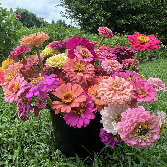 DIY Bulk Flower Buckets